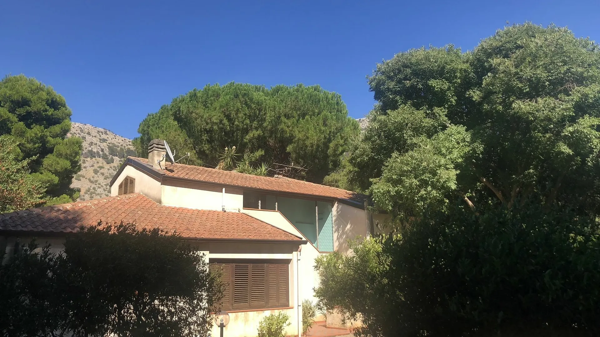 Palms And Sea Villa Palermo Italy